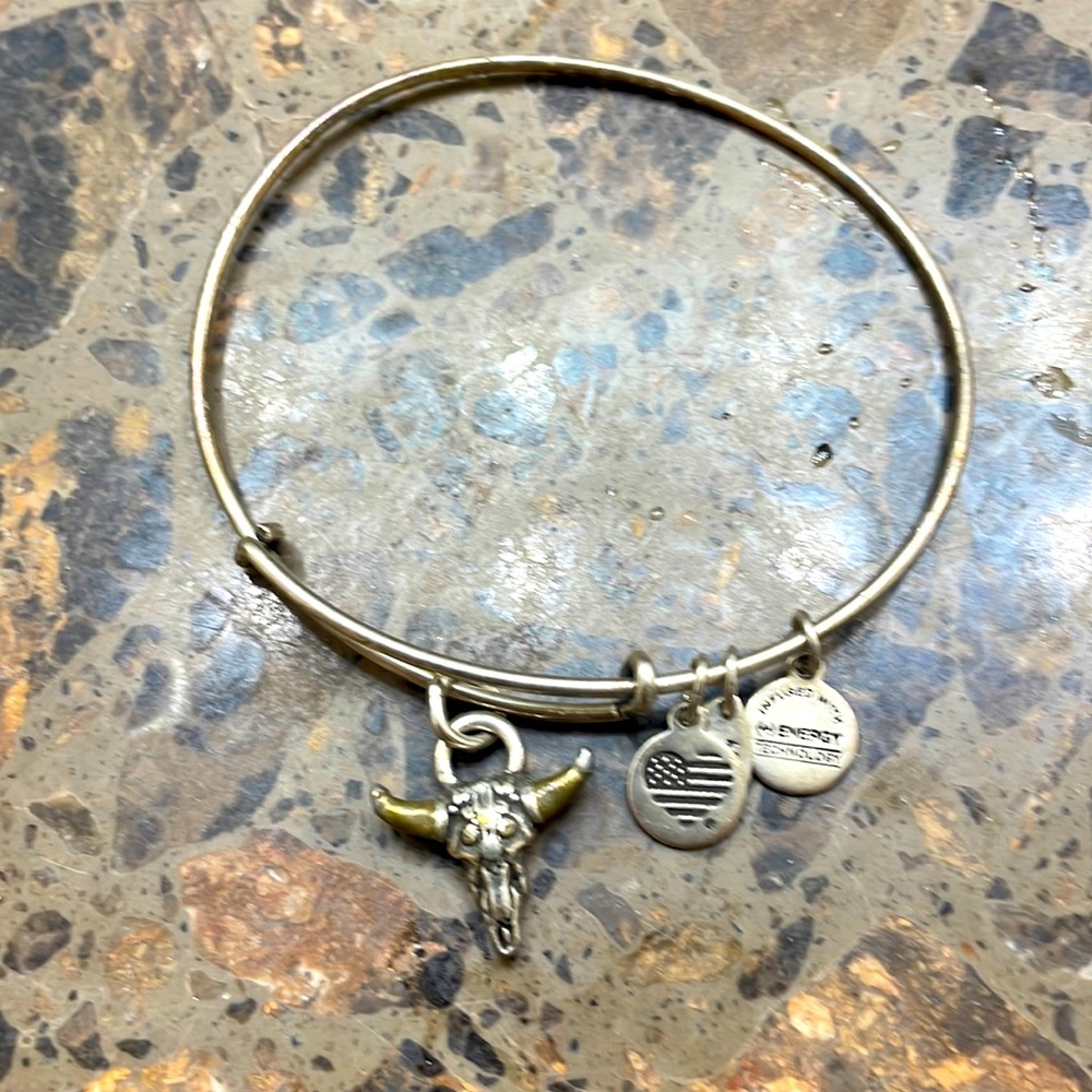 Alex and Ani silver and gold horn bracelet